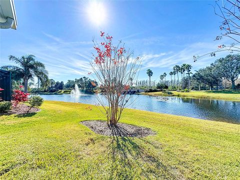 A home in WIMAUMA