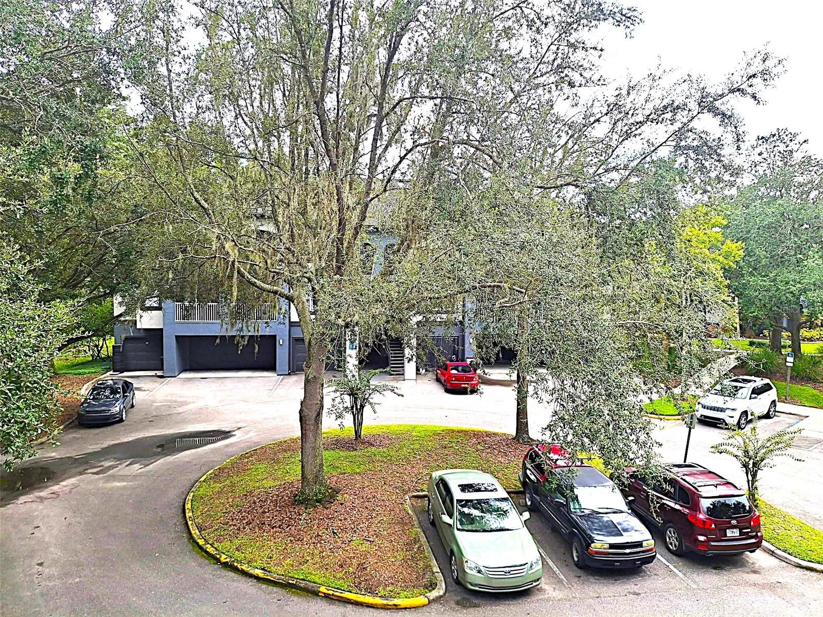 THE PRESERVE AT TEMPLE TERRACE - Residential Lease