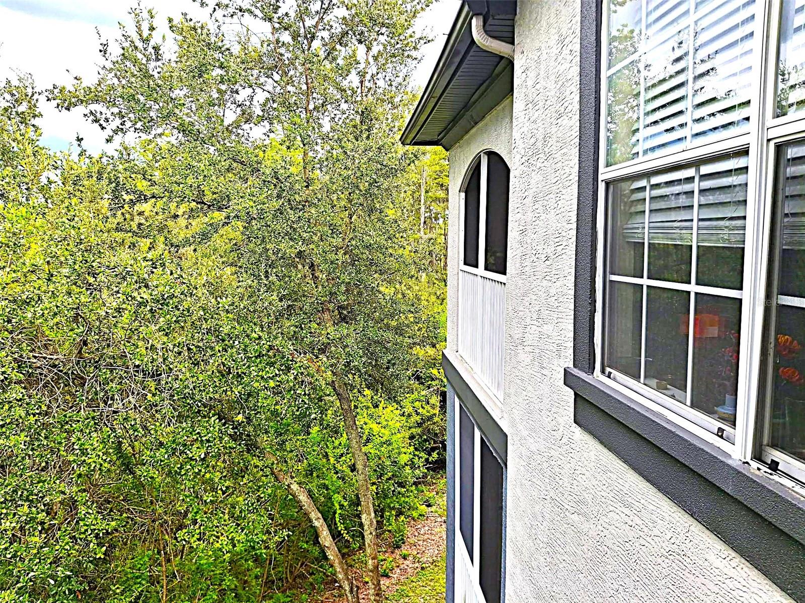 THE PRESERVE AT TEMPLE TERRACE - Residential Lease