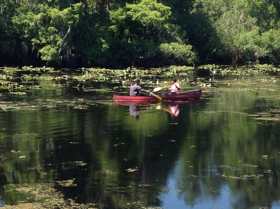 THE PRESERVE AT TEMPLE TERRACE - Residential Lease