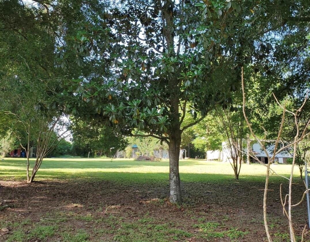 LAKE WEIR HEIGHTS - Residential