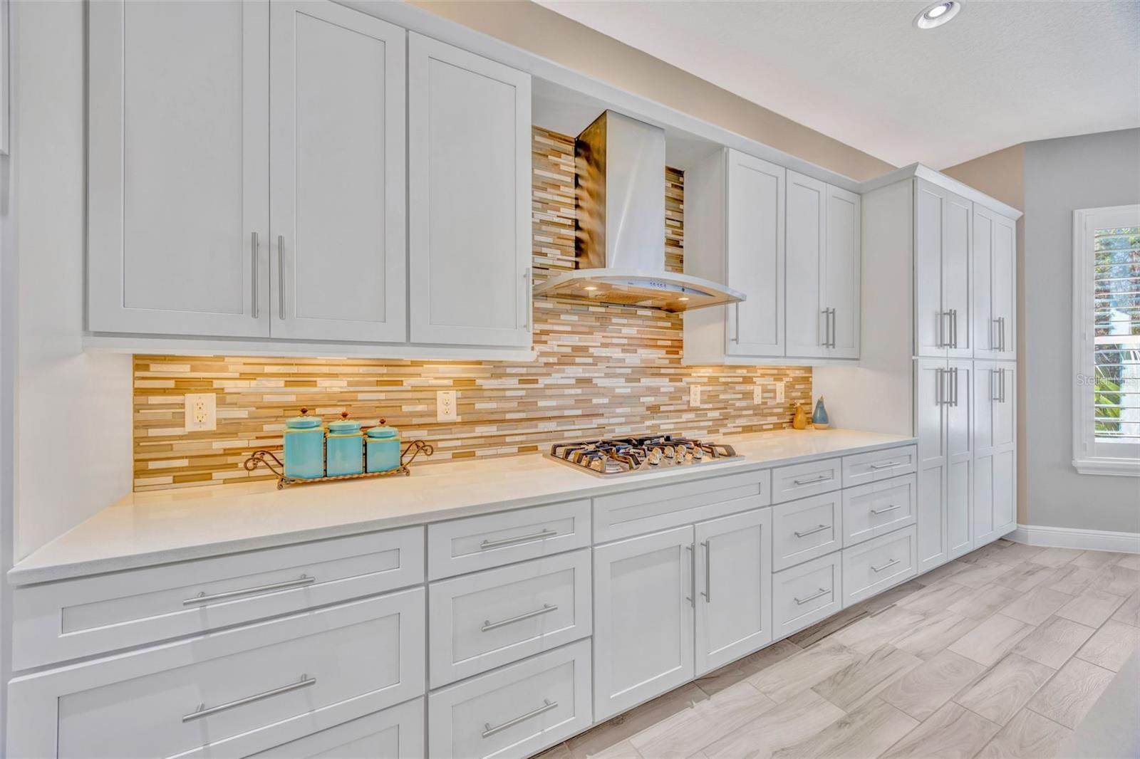 THE RIDGE AT WIREGRASS RANCH - Residential