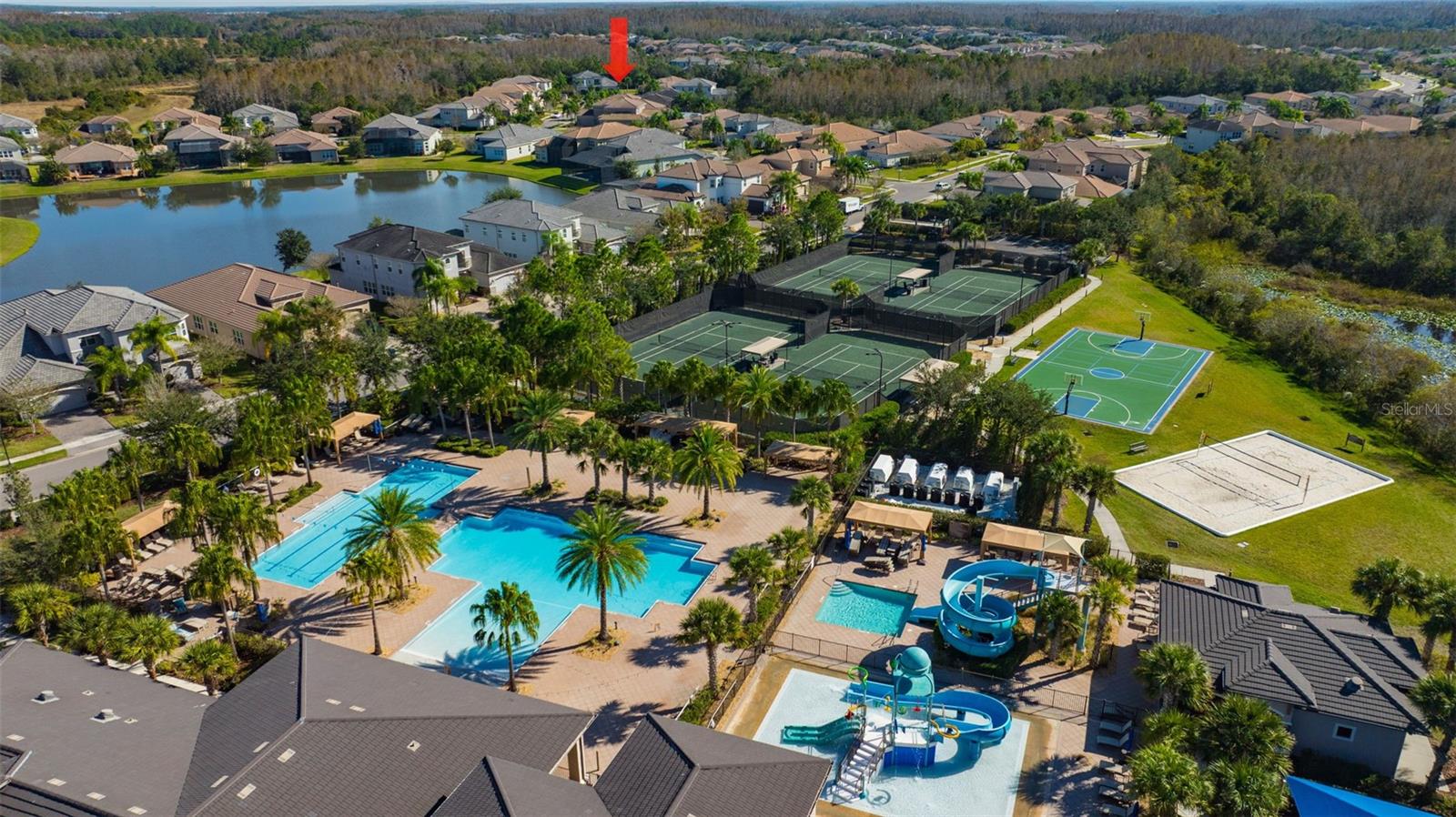 THE RIDGE AT WIREGRASS RANCH - Residential