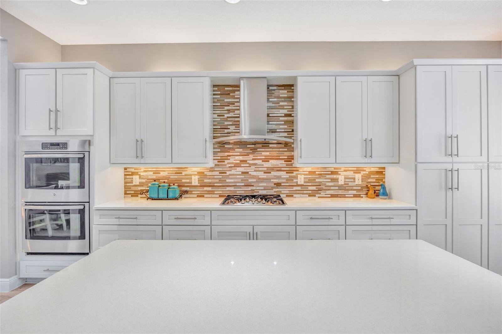 THE RIDGE AT WIREGRASS RANCH - Residential