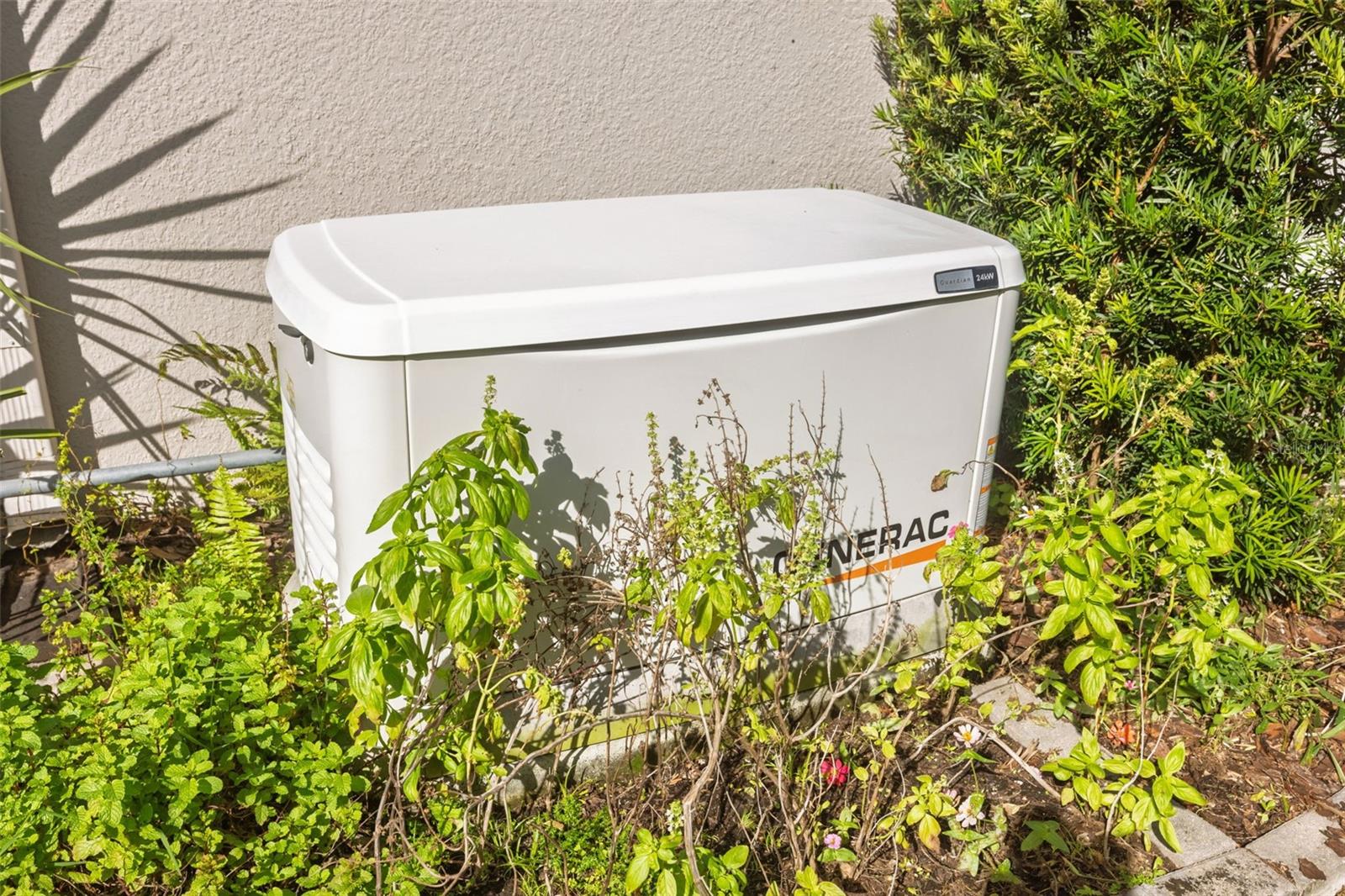 THE RIDGE AT WIREGRASS RANCH - Residential