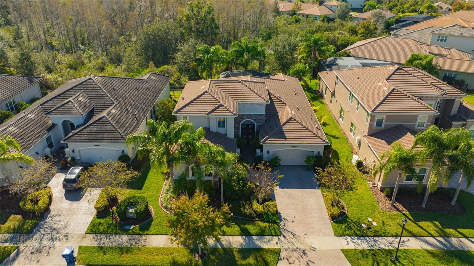 THE RIDGE AT WIREGRASS RANCH - Residential