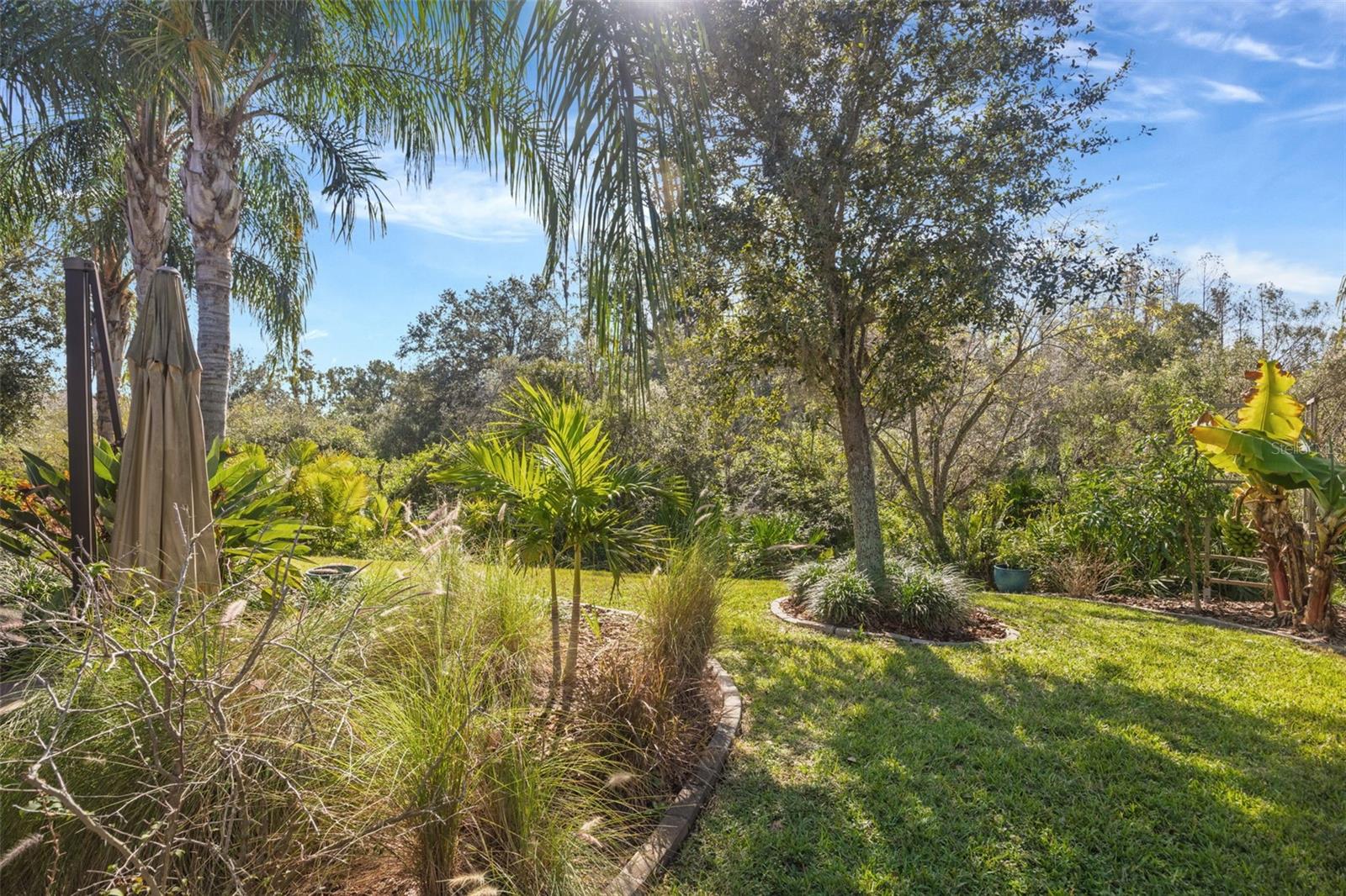 THE RIDGE AT WIREGRASS RANCH - Residential