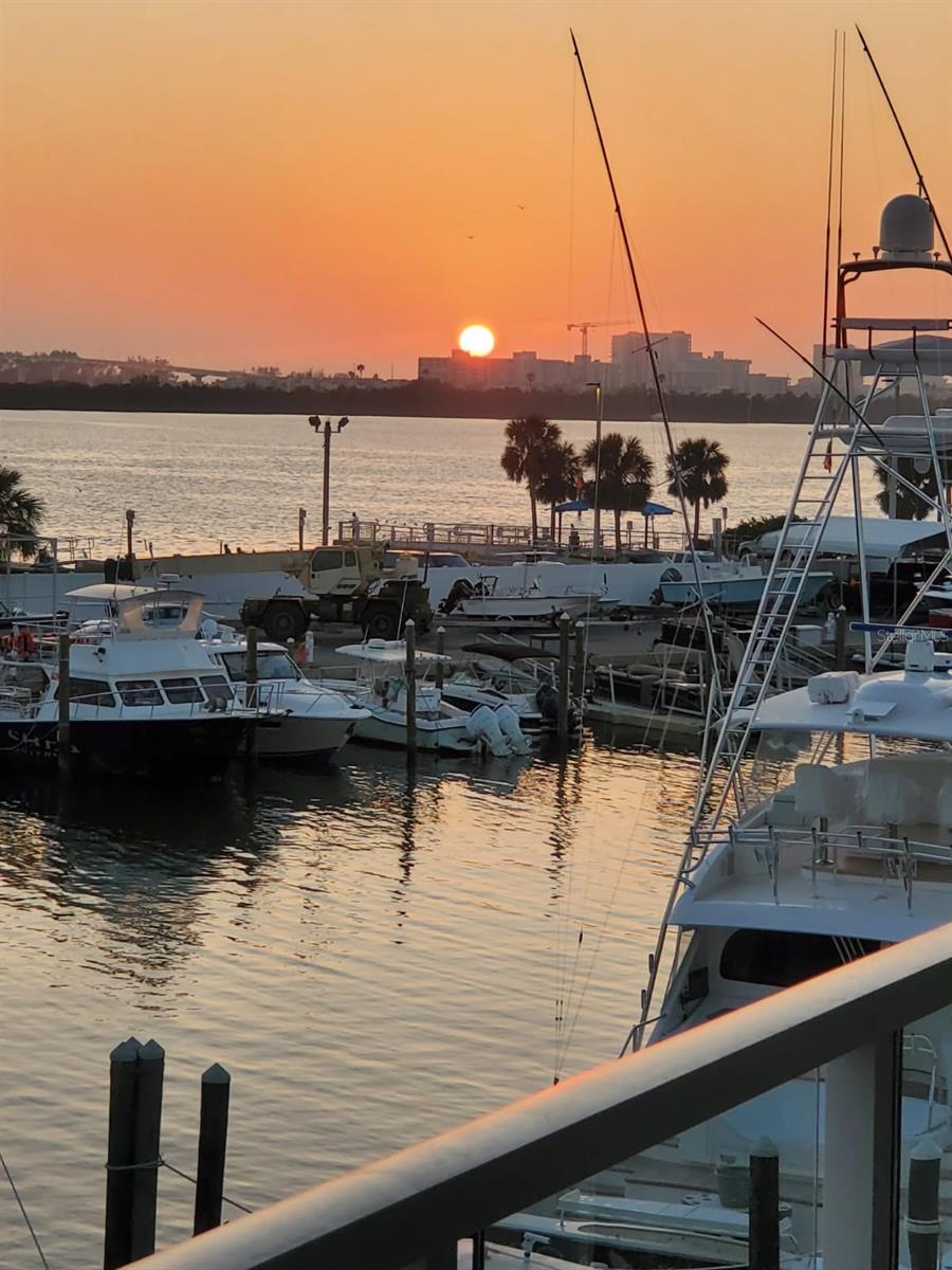 MARINA BAY 880 CONDO - Residential