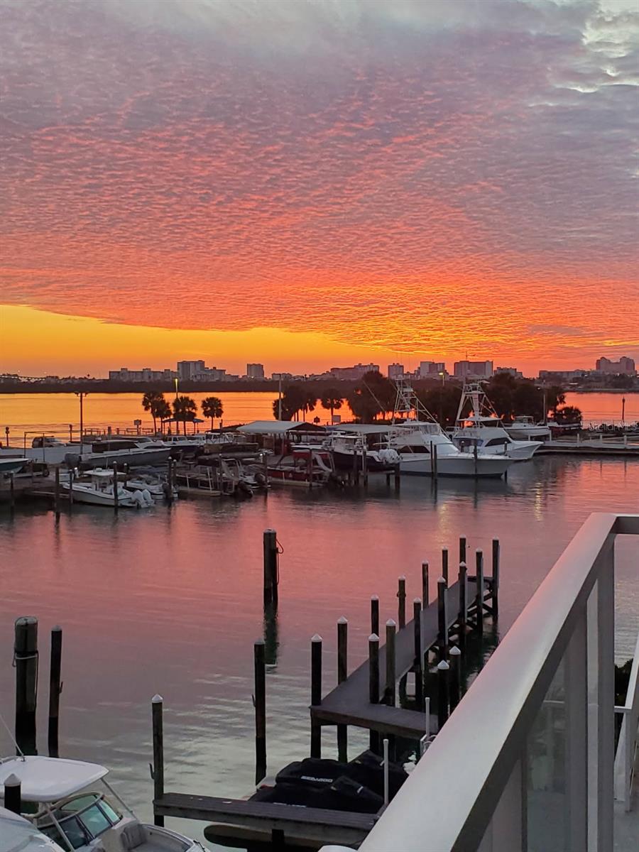 MARINA BAY 880 CONDO - Residential