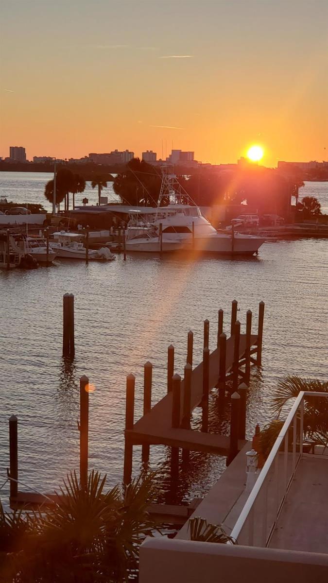 MARINA BAY 880 CONDO - Residential