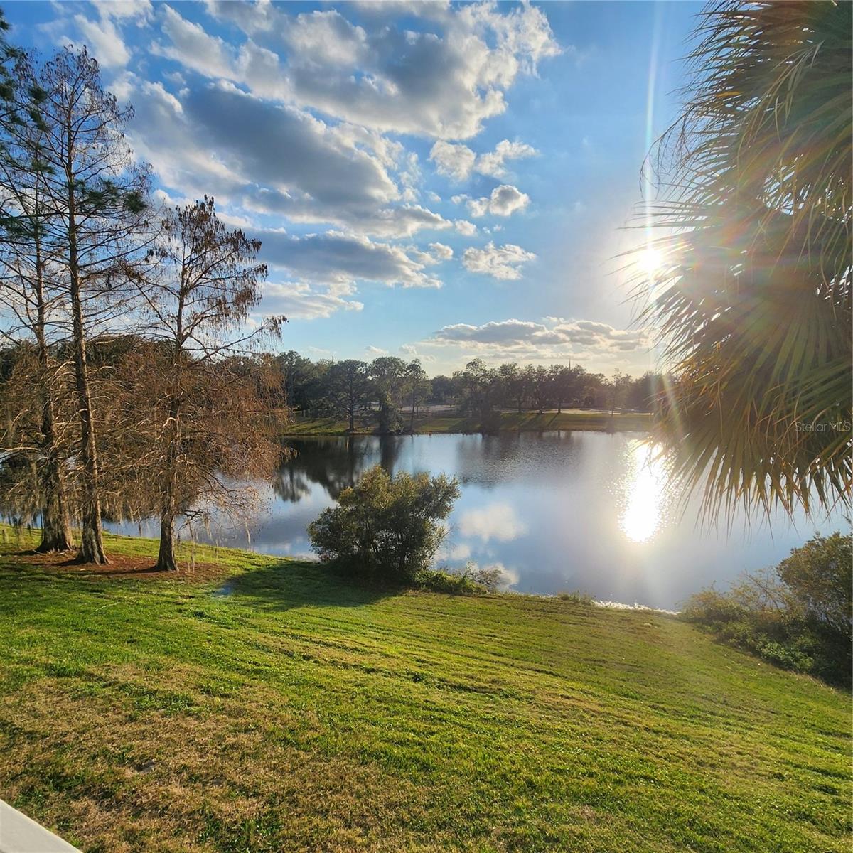 2516 GRASSY POINT DRIVE 206