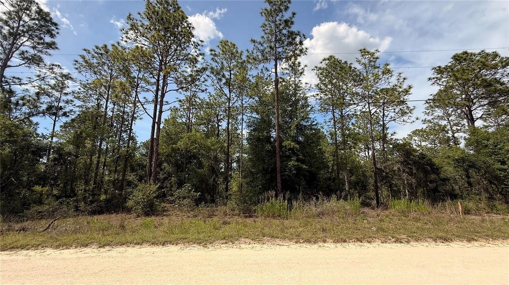 Photo of Undetermined, Dunnellon, FL 34432 (MLS # O6418591)