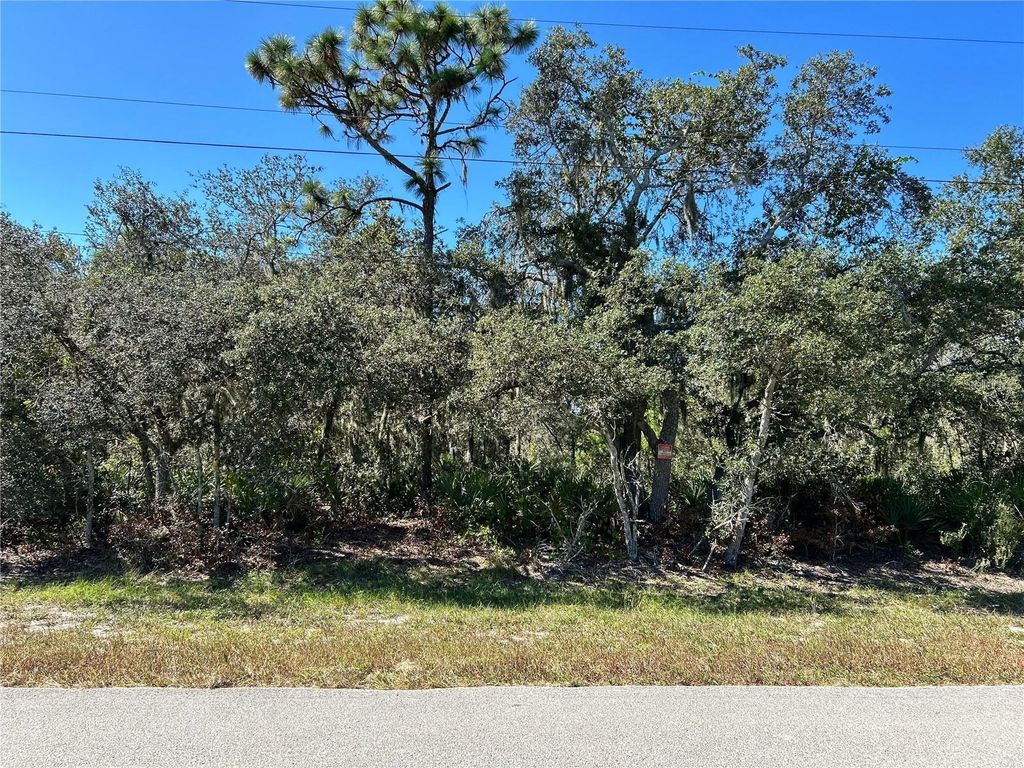 Photo of Woodstork Way, Frostproof, FL 33843 (MLS # P4938192)