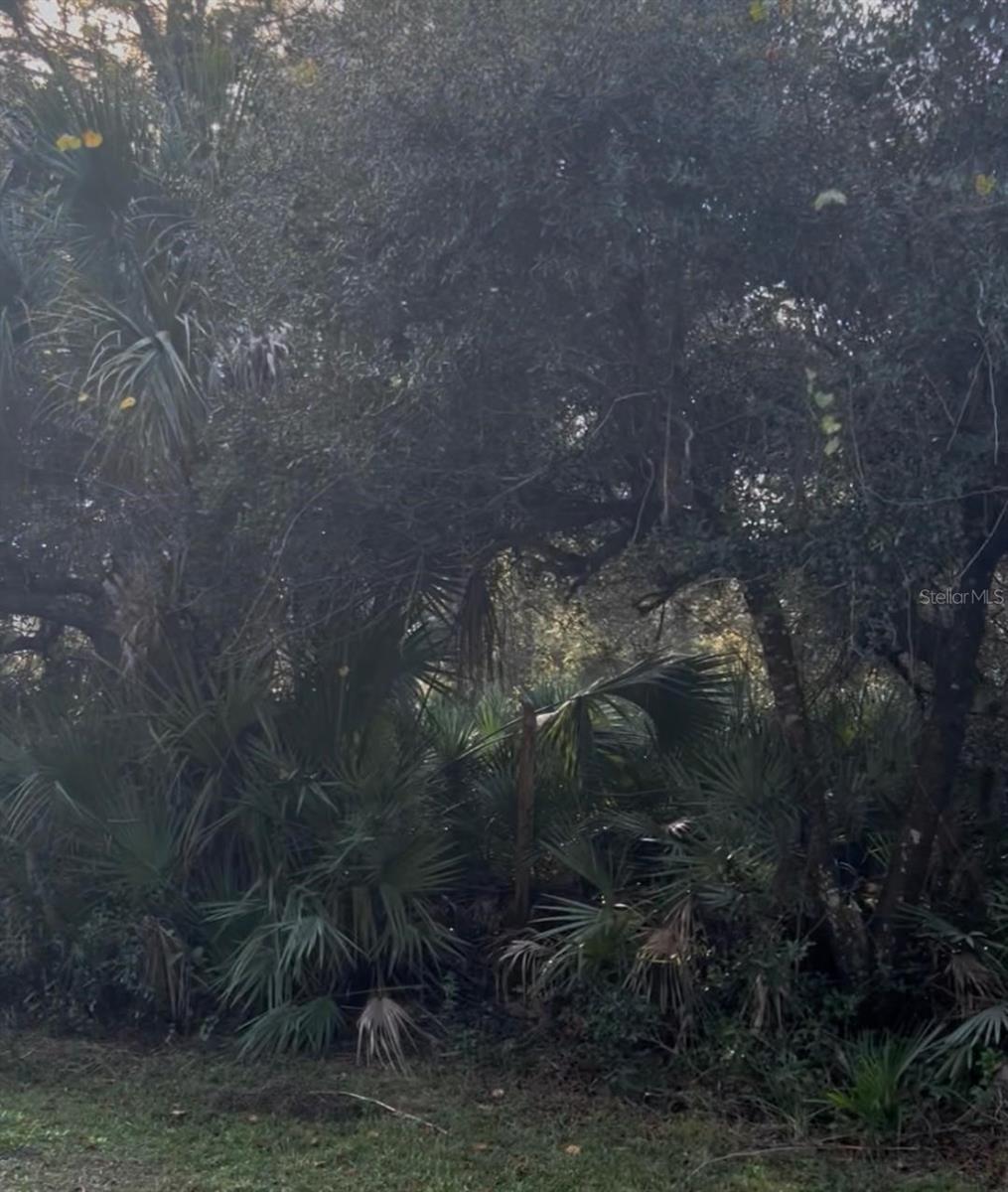 ORANGE CO ACRES UNREC - Land