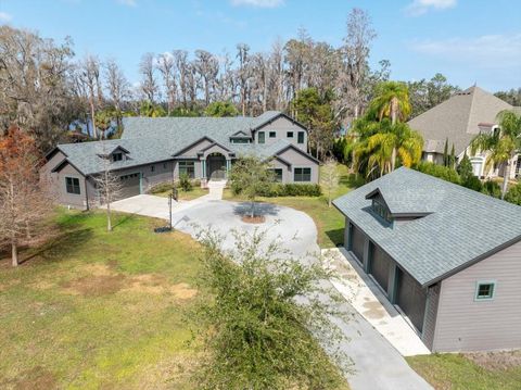 16320 ROCK LAKE DRIVE ODESSA FL 33556