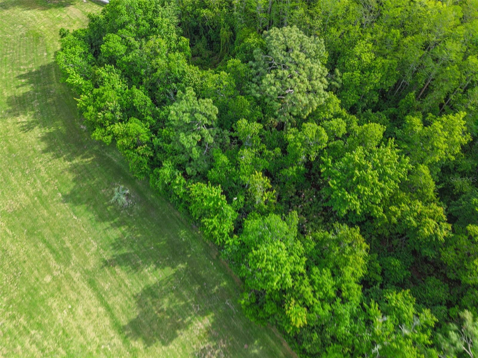 MEADOW WOODS VILLAGE 10 - Residential