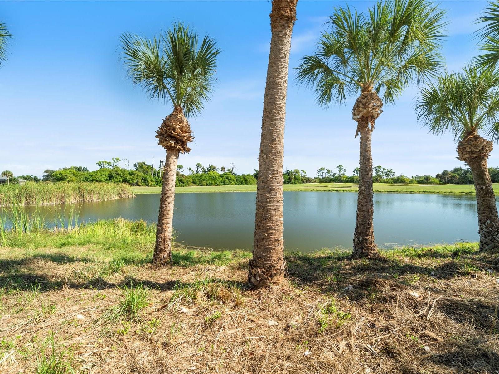 ROTONDA WEST PINE VALLEY - Residential