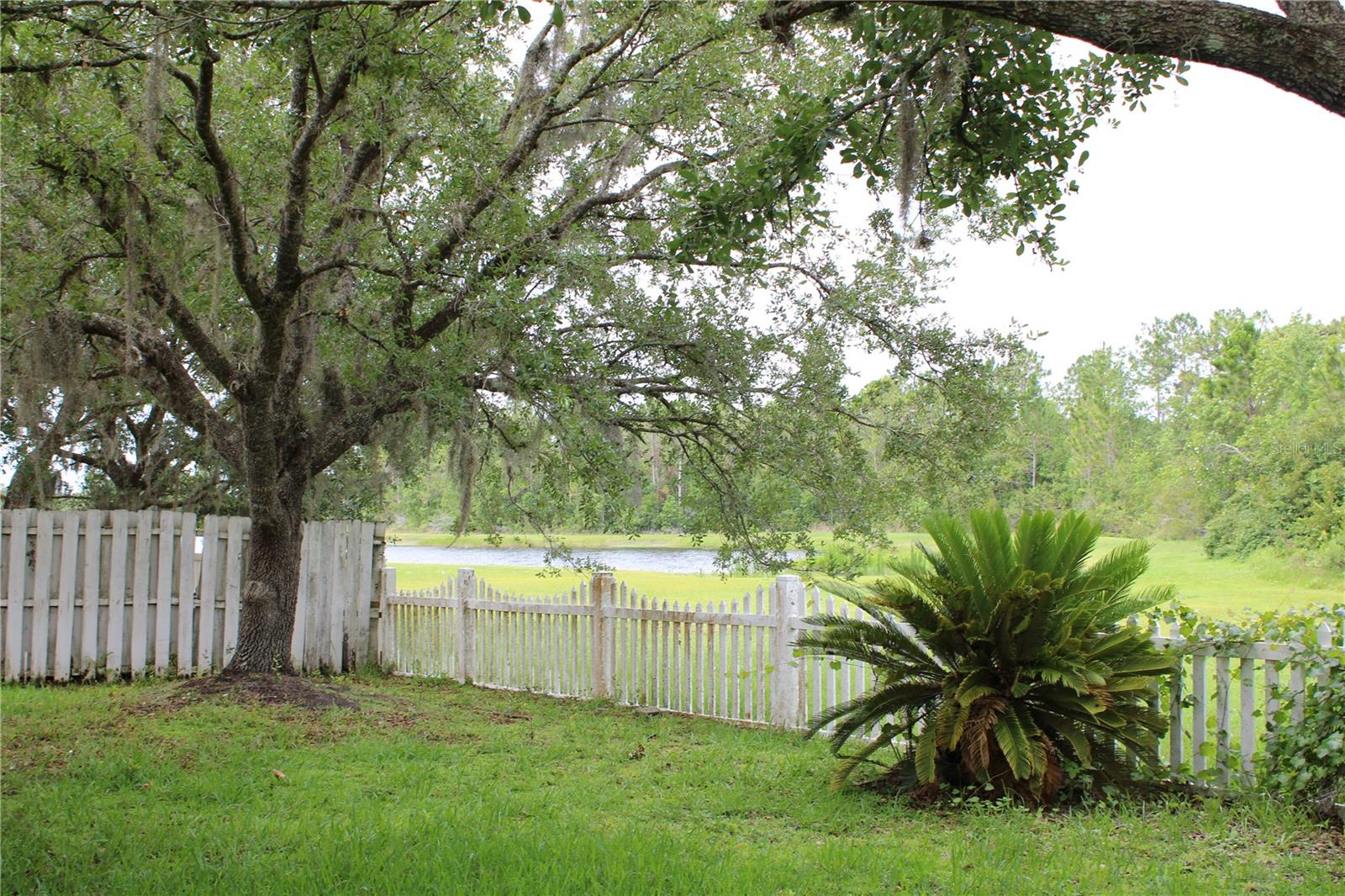 1868 HAMMOCK MOSS DR