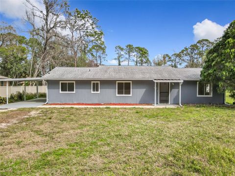 A home in ORMOND BEACH