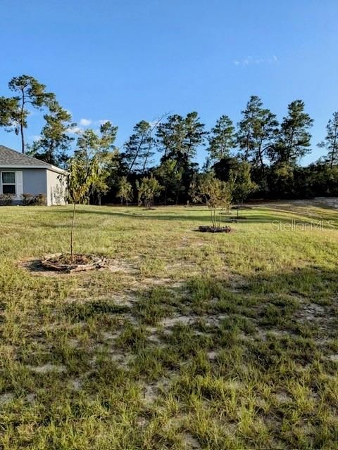 A home in OCALA