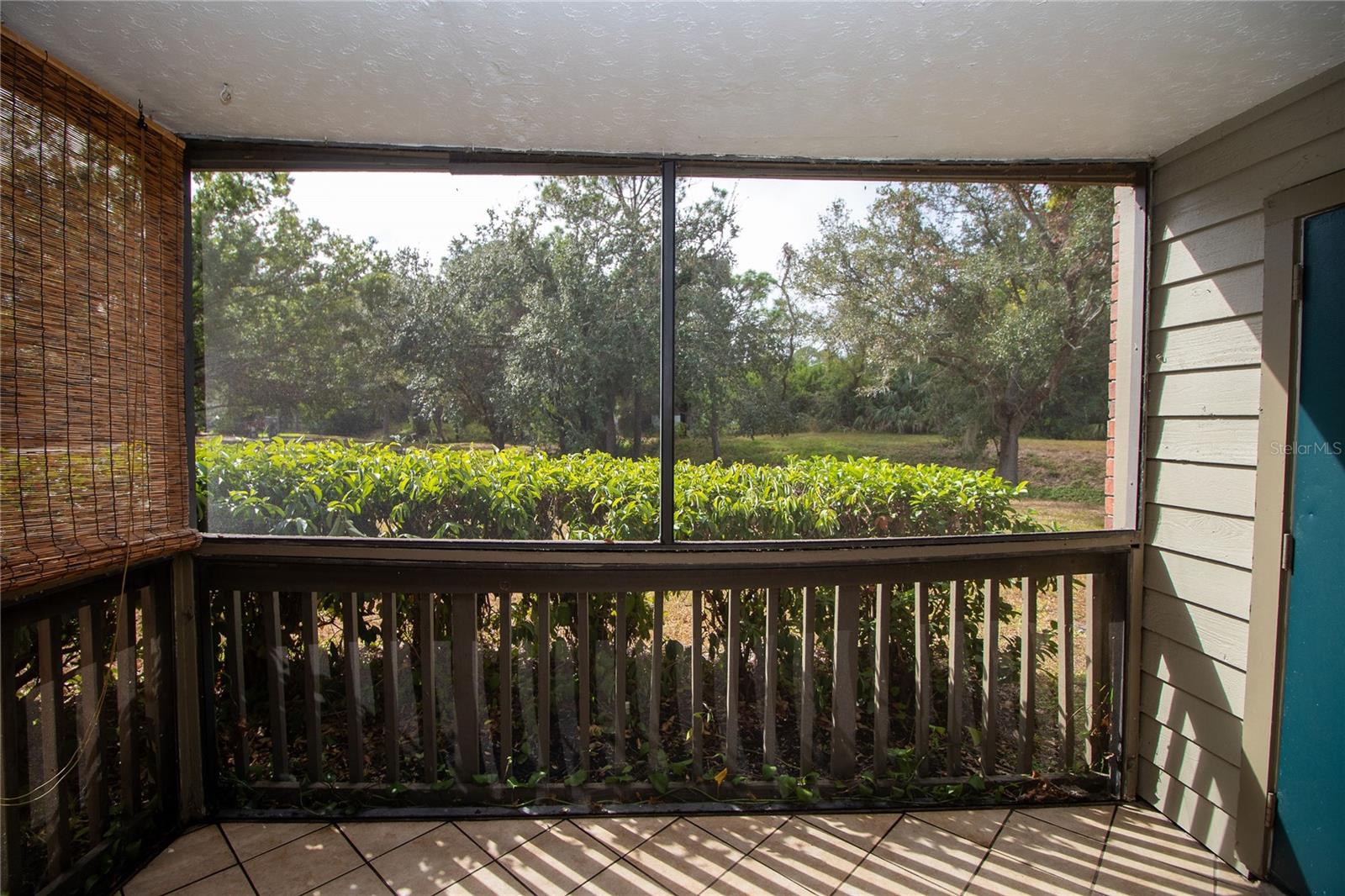 ENCLAVE AT ST PETERSBURG - Residential