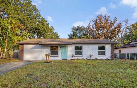 A home in KISSIMMEE