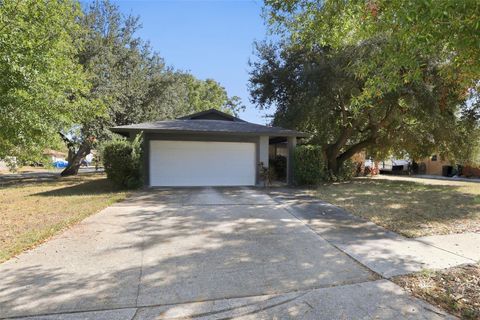 Photo of 13923 Capitol Drive, Tampa, FL 33613 (MLS # O6362443)