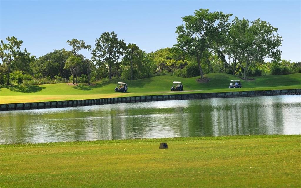 LAUREL OAK ESTATES - Residential