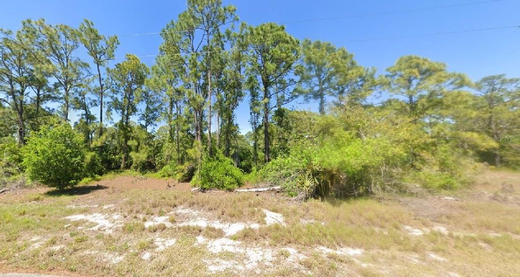 Photo of 348 Gleaming Avenue, Lake Placid, FL 33852 (MLS # R4910319)