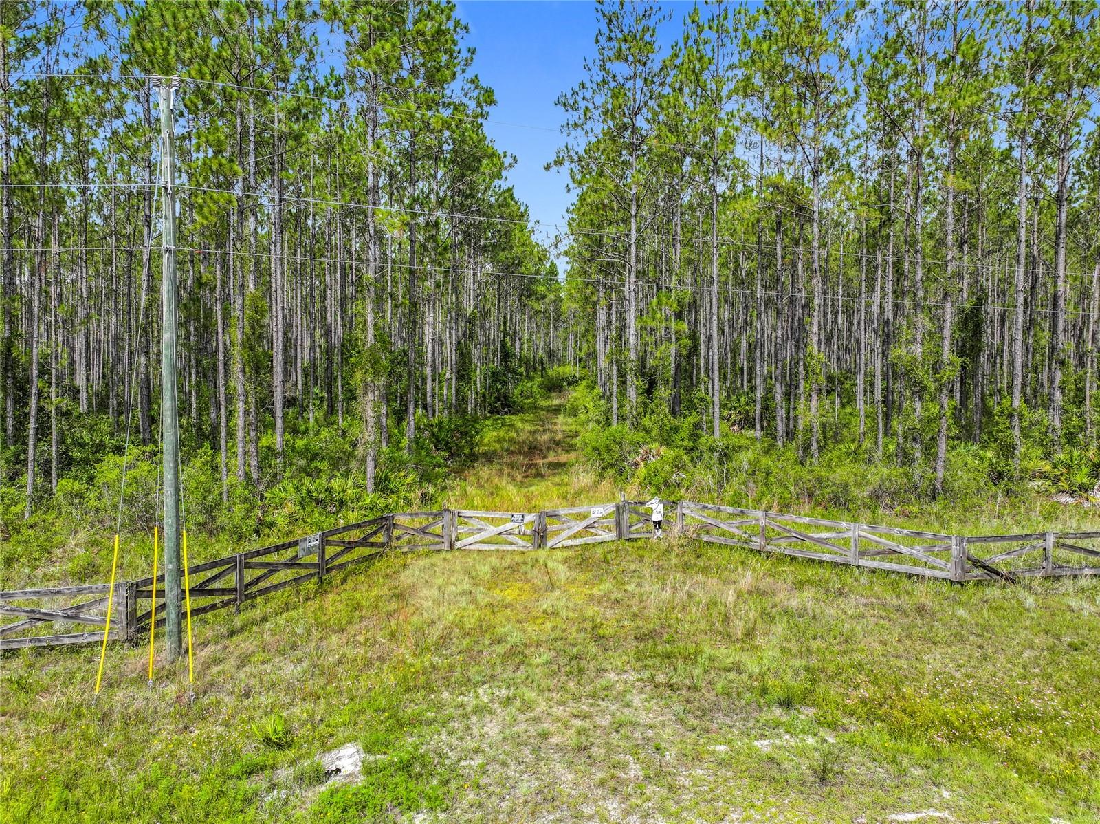 Exceptional 20.09-acre agricultural parcel located directly on paved County Road 336 (Rocky Hammock Road) in Levy County. A region known for it's abundant wildlife, whitetail deer, and hog hunting opportunities. This property offers a perfect blend of privacy, natural beauty and outdoor adventure. The front of the land is lined with established planted pines, creating both privacy and future timber value. Already on the land is a pole barn and woodchippers. A cleared dry trail already in place guides you deep into the property, leading to a mix of hardwoods, cleared game trails, and openings ideal for food plots, tree stands, or an off-grid hunting camper. Whether you' looking for a private hunting retreat, a weekend getaway, or a secluded homesite, this versatile parcel delivers. It's ATV- friendly, room to ride and explore. Just minutes from Chiefland's shopping, dining, and the new hospital under construction-and only 30 minutes to CEDAR KEY and the Gulf for saltwater fishing or sunset views. ZONED Agricultural, with tons of potential for your own hunting camp.