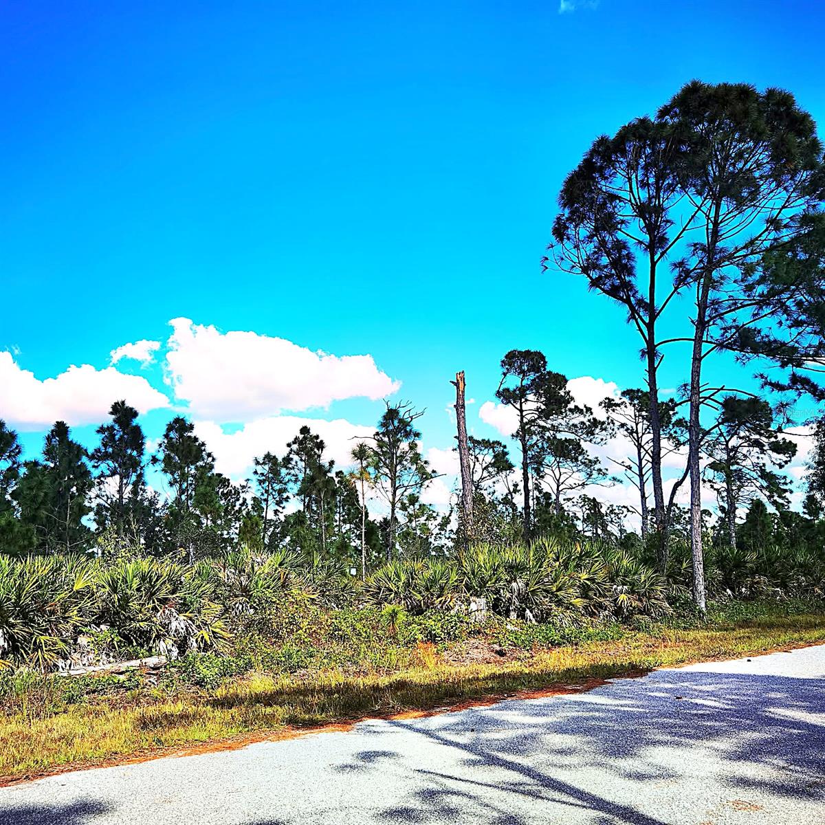 12140 KARNEY AVENUE, PORT CHARLOTTE, FL, 33981 4 12140 KARNEY AVENUE