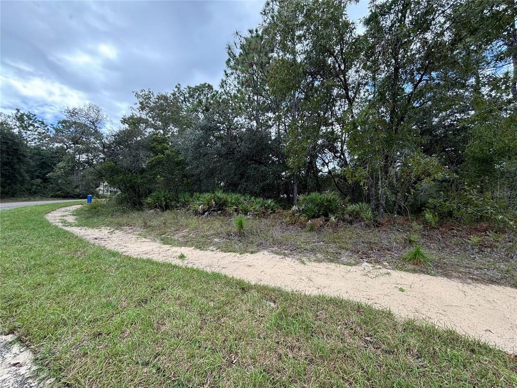 Photo of 1887 W Hialeah Drive, Citrus Springs, FL 34434 (MLS # TB8436208)
