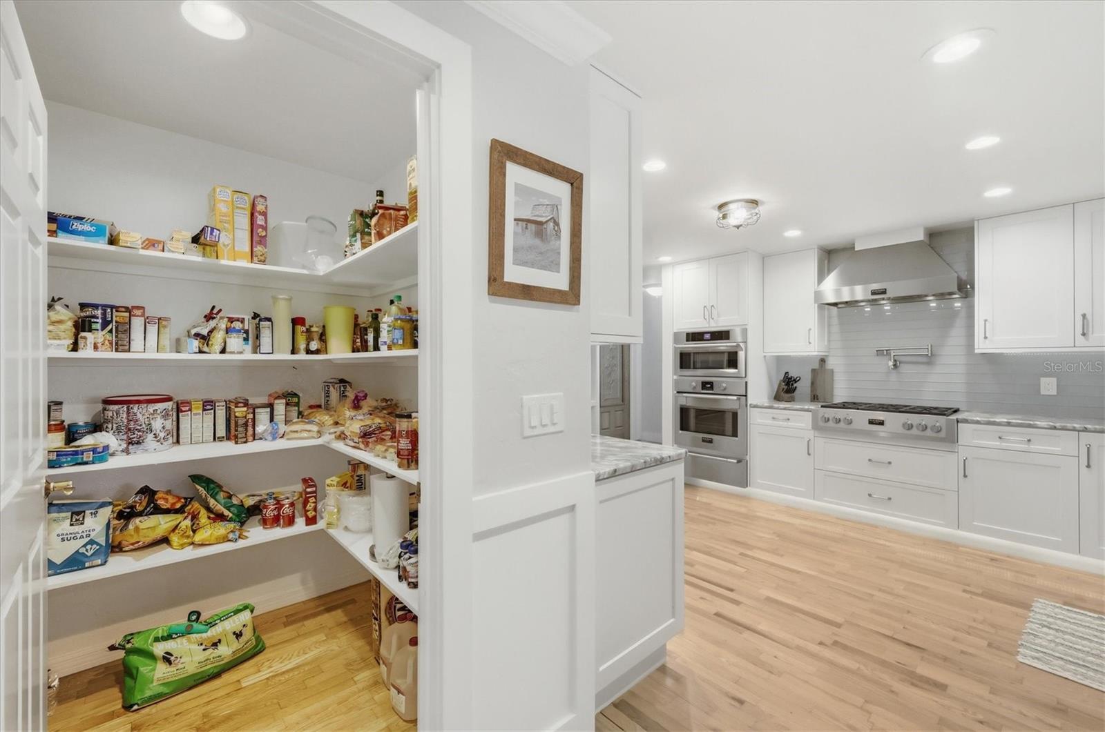 MYAKKA VALLEY RANCHES - Residential