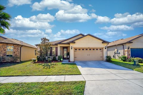 A home in POLK CITY