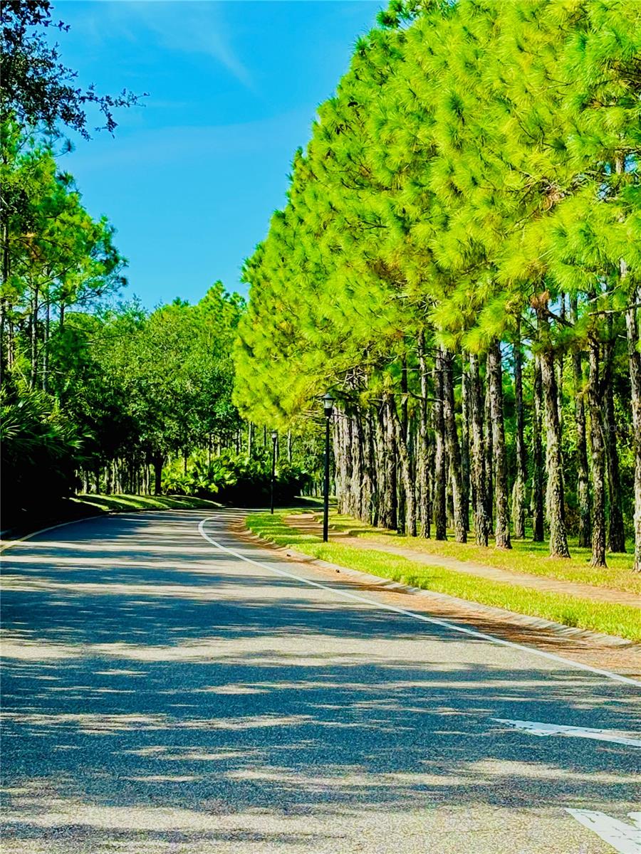 PANTHER TRACE PH 2B-3 - Residential