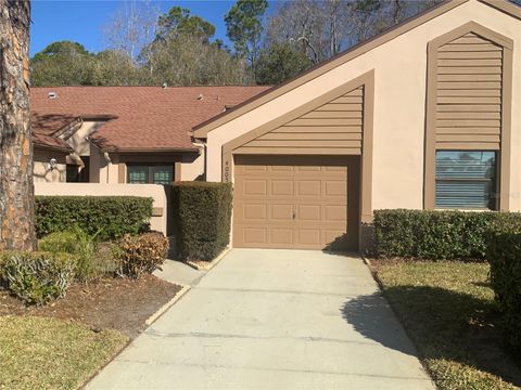 Photo of 4005 Mermoor Drive, Palm Harbor, FL 34685 (MLS # TB8473779)