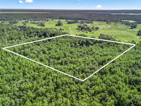 NW 150TH AVE ROAD MICANOPY FL 32667