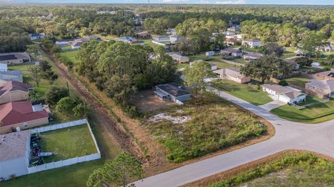 A home in PALM BAY