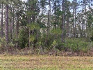 310&312 (BLK368 LOTS 5&6) ALBA DRIVE
