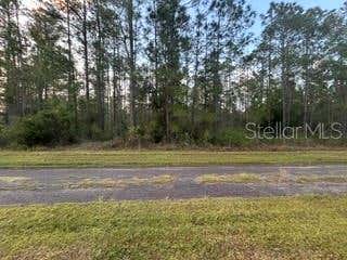 Photo of 310 Alba Drive, Indian Lake Estates, FL 33855 (MLS # TB8509529)