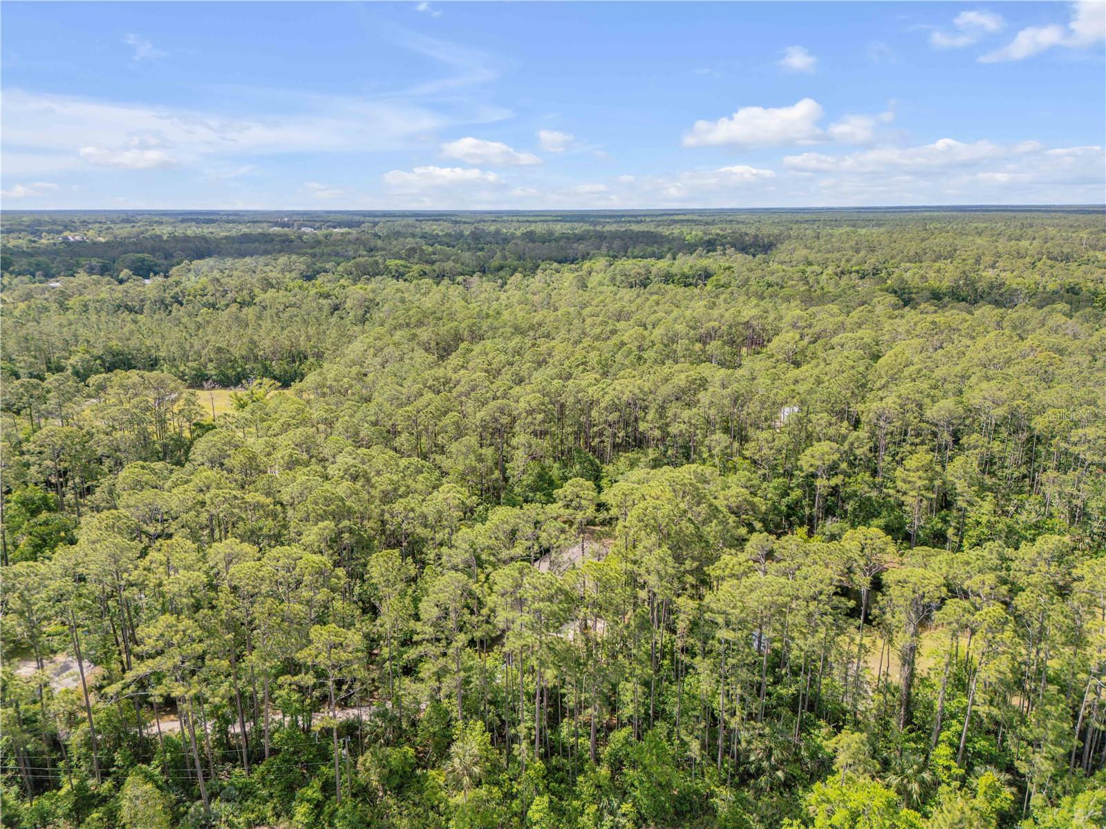 TOMOKA FARMS - Residential