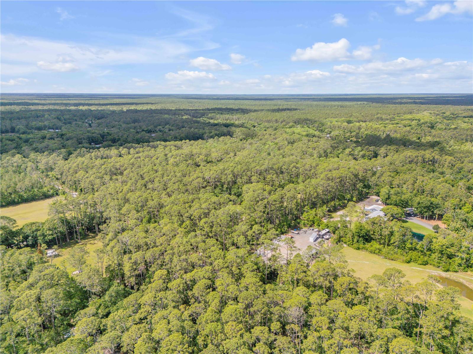 TOMOKA FARMS - Residential