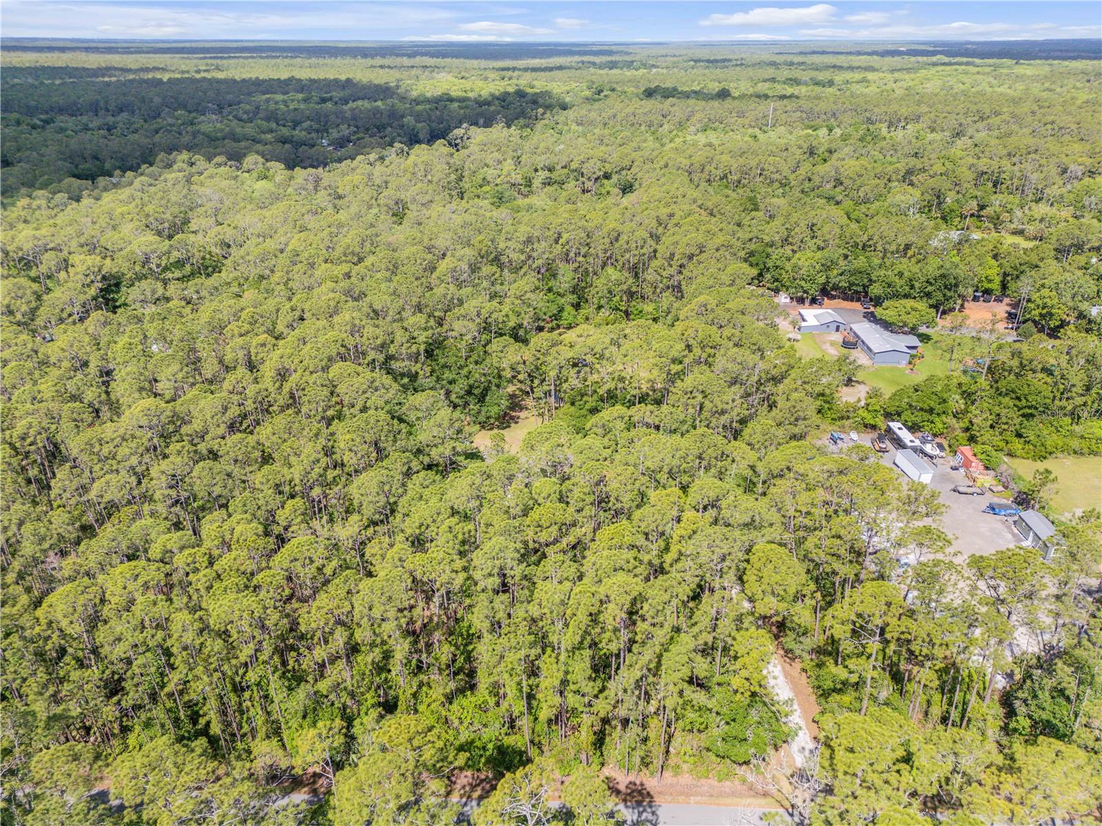 TOMOKA FARMS - Residential