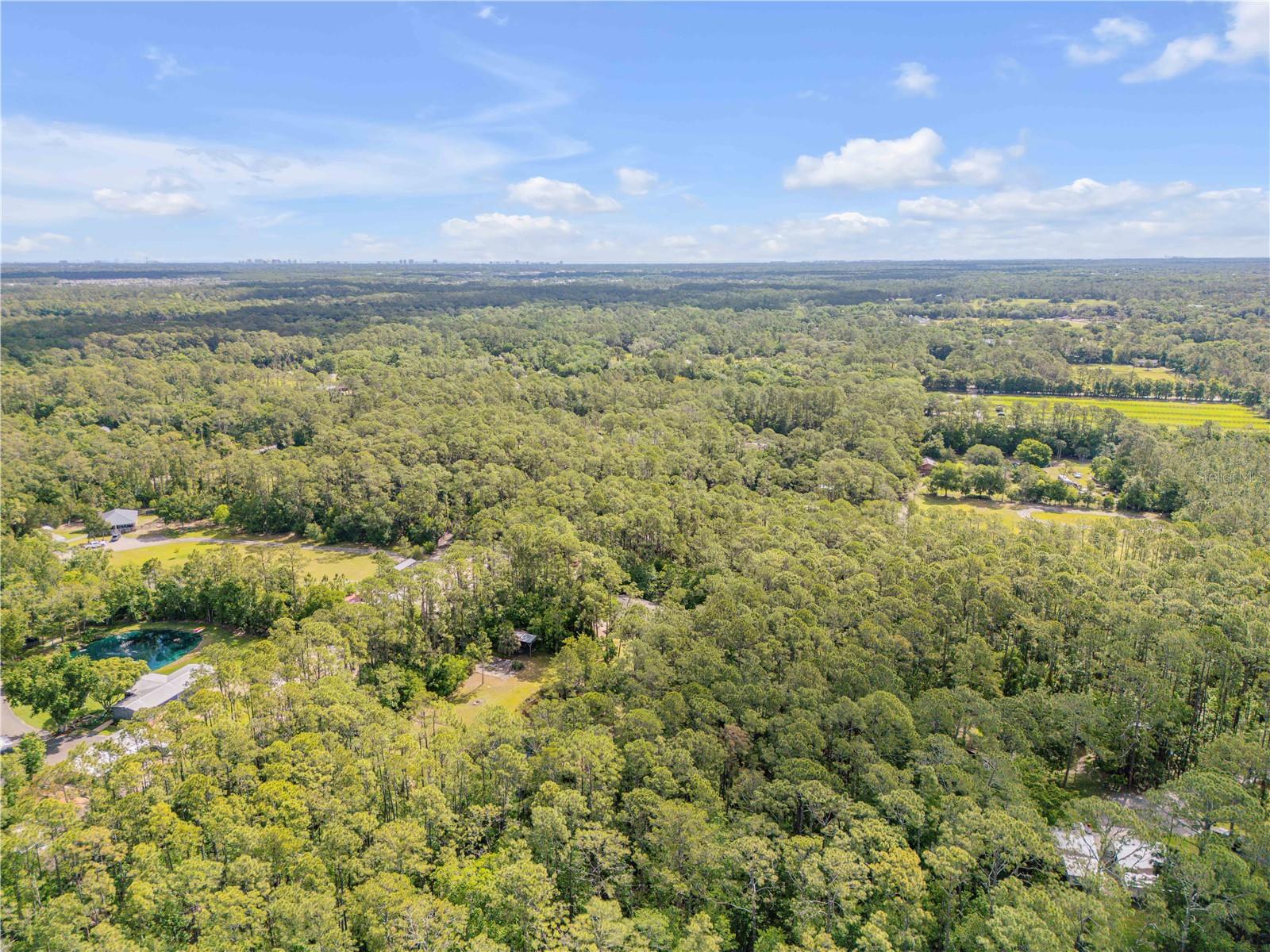 TOMOKA FARMS - Residential