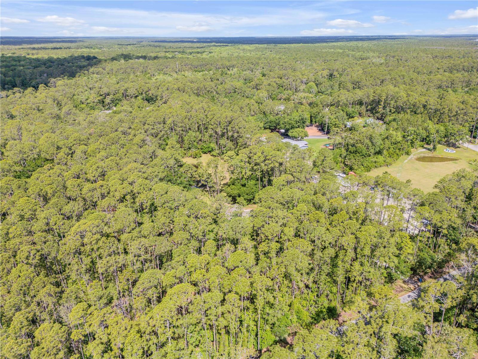 TOMOKA FARMS - Residential