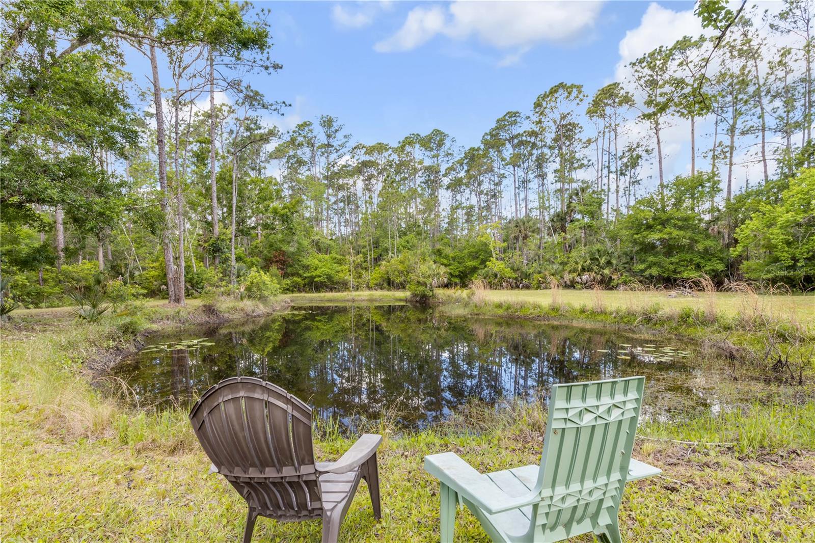 TOMOKA FARMS - Residential