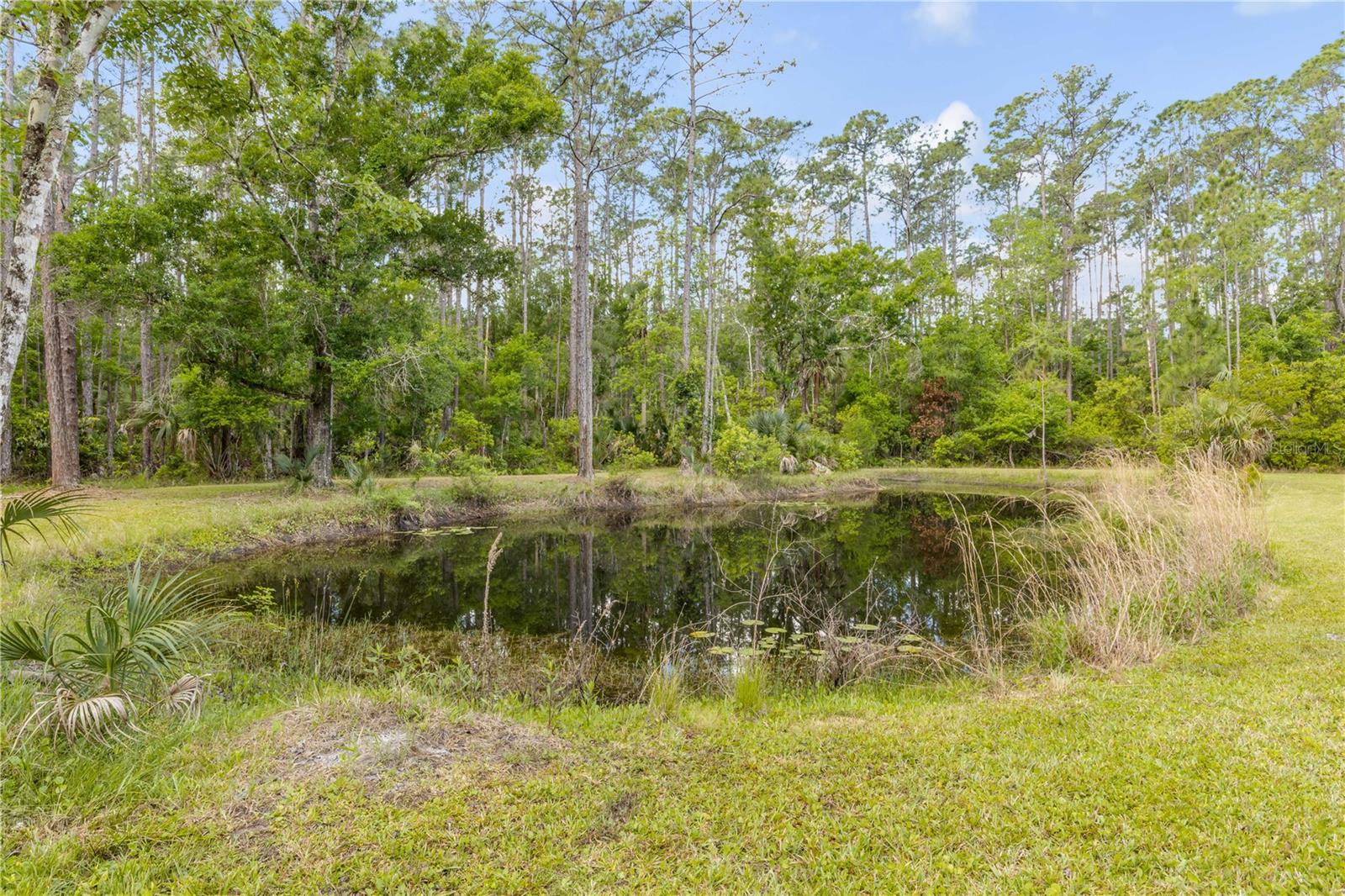TOMOKA FARMS - Residential