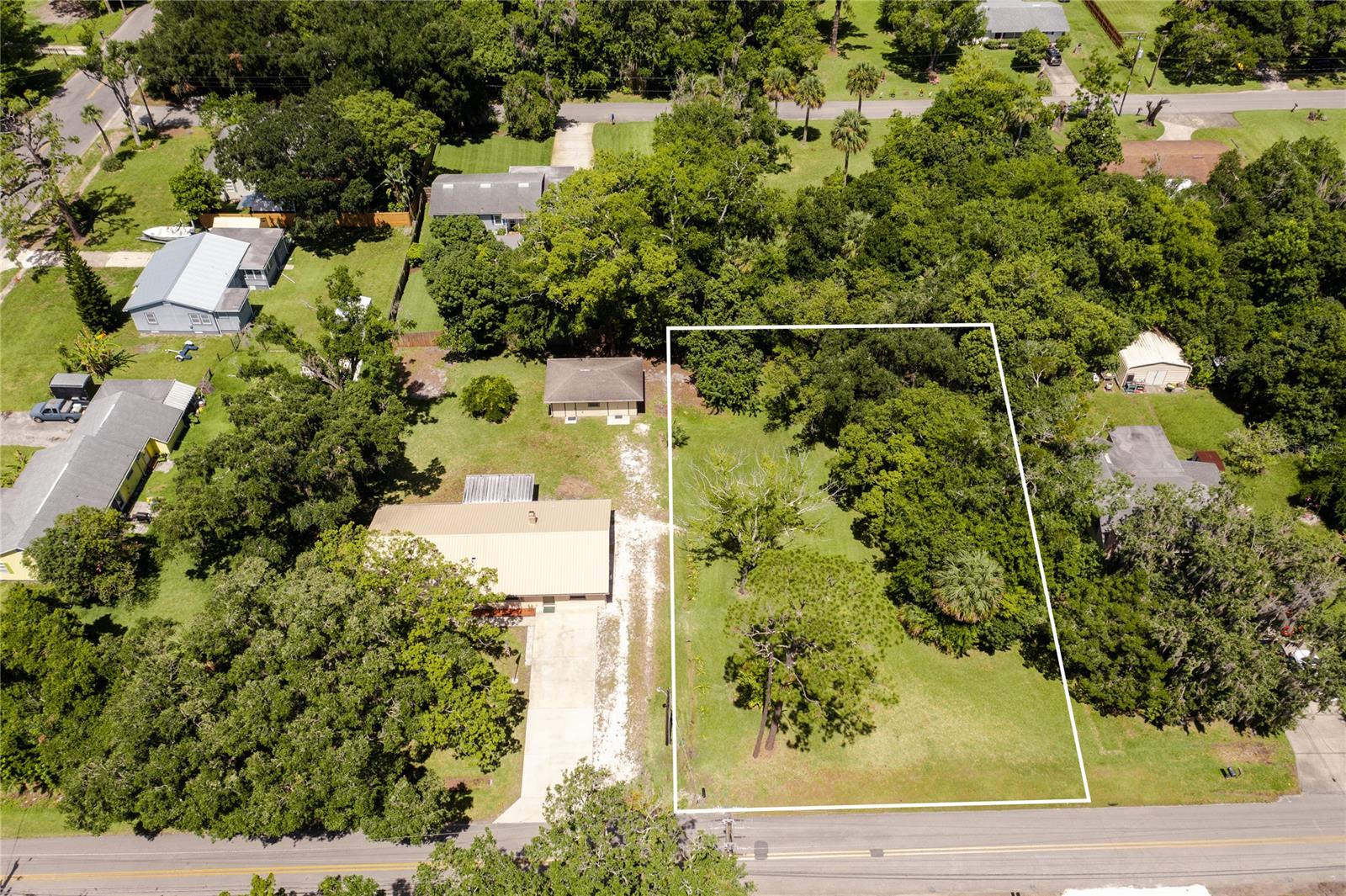 100x150' OLD FLORIDA lot w/majestic trees sold in conjunction with 144 Spruce St.