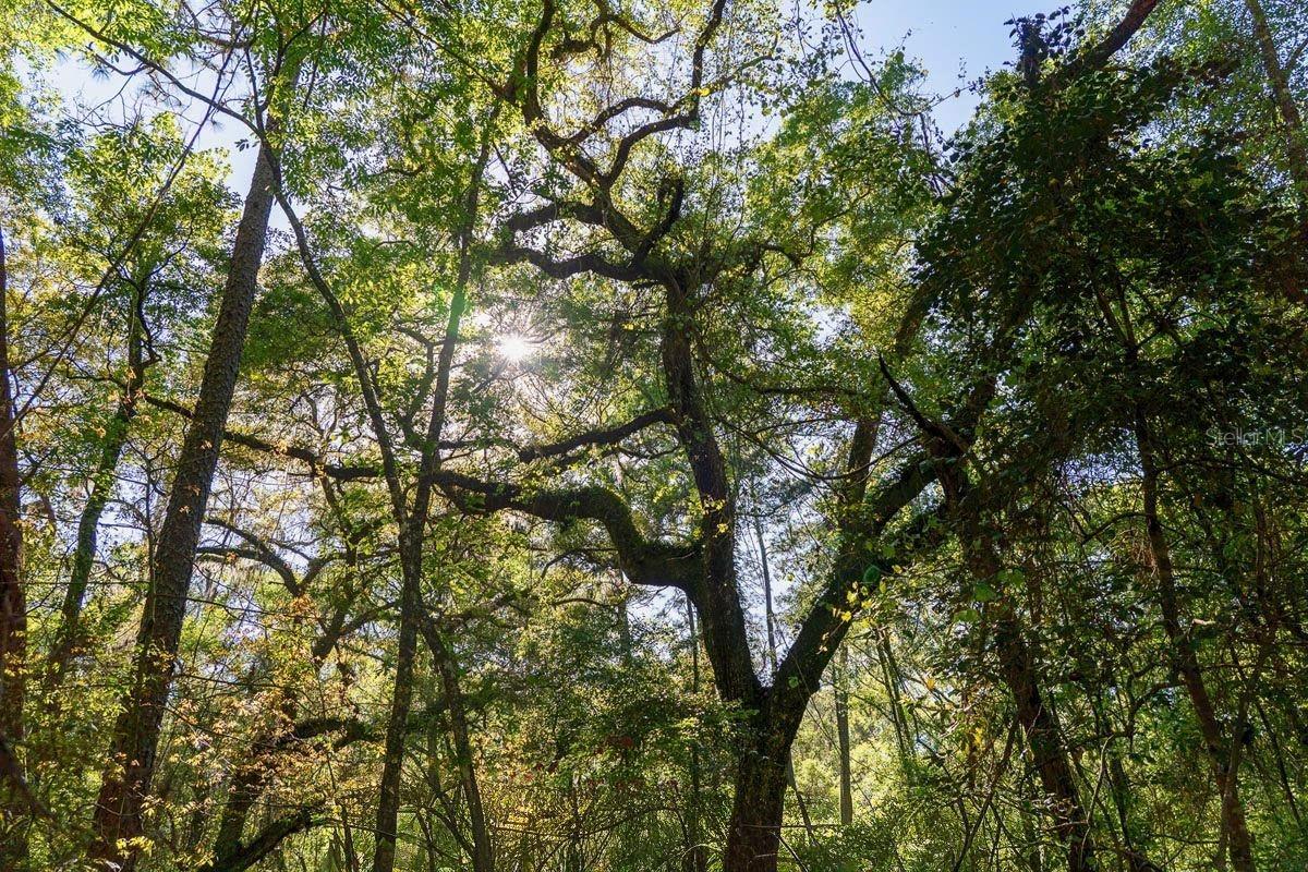 TBD LOT 10 10TH TERRACE