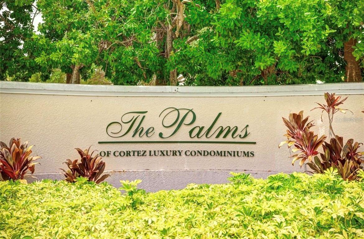 THE PALMS OF CORTEZ - Residential